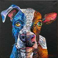 pitbull