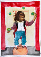 chimp