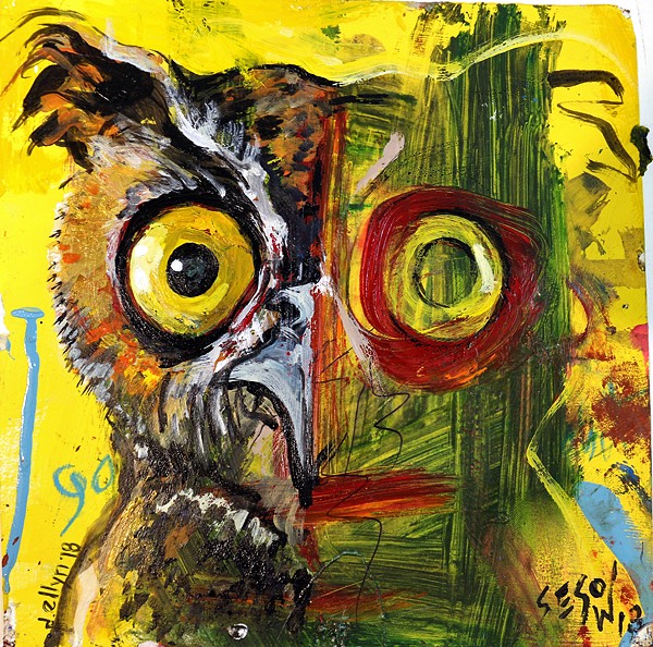 owl