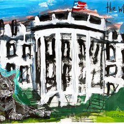 whitehousecat2