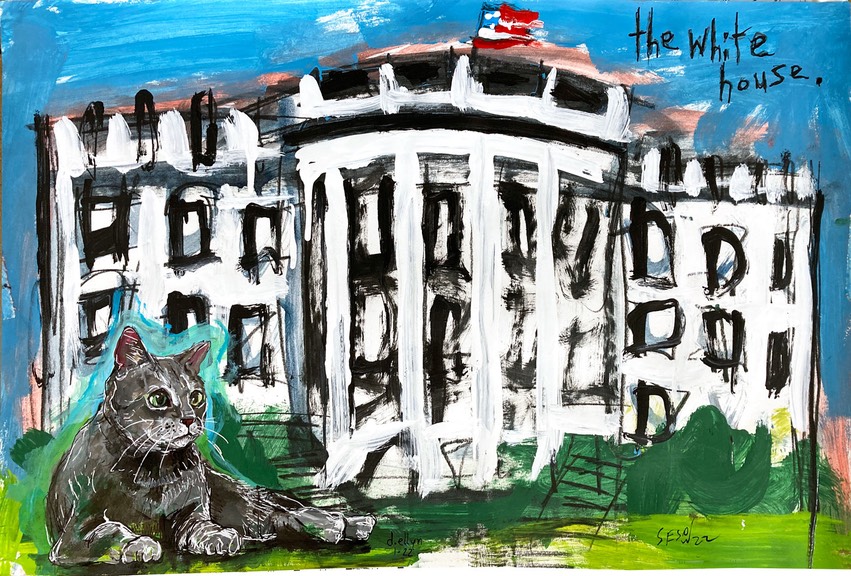 whitehousecat2