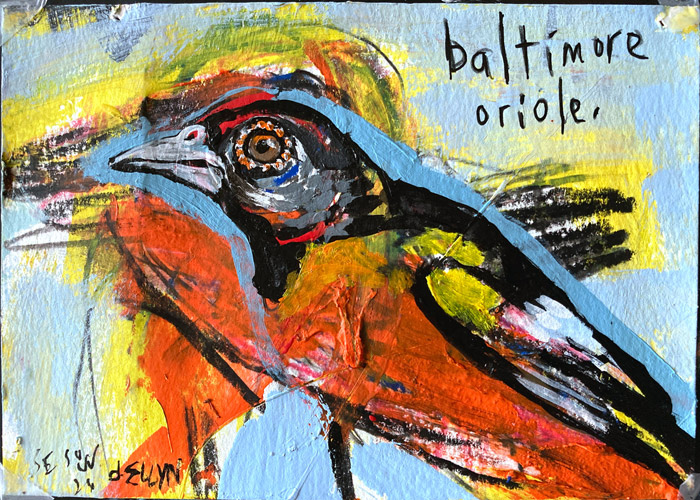 oriole. Sesow & Ellyn collaboration