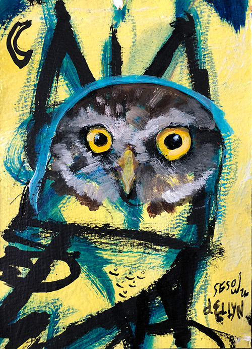 owl. sesow & ellyn collaboration