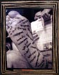 footnotes