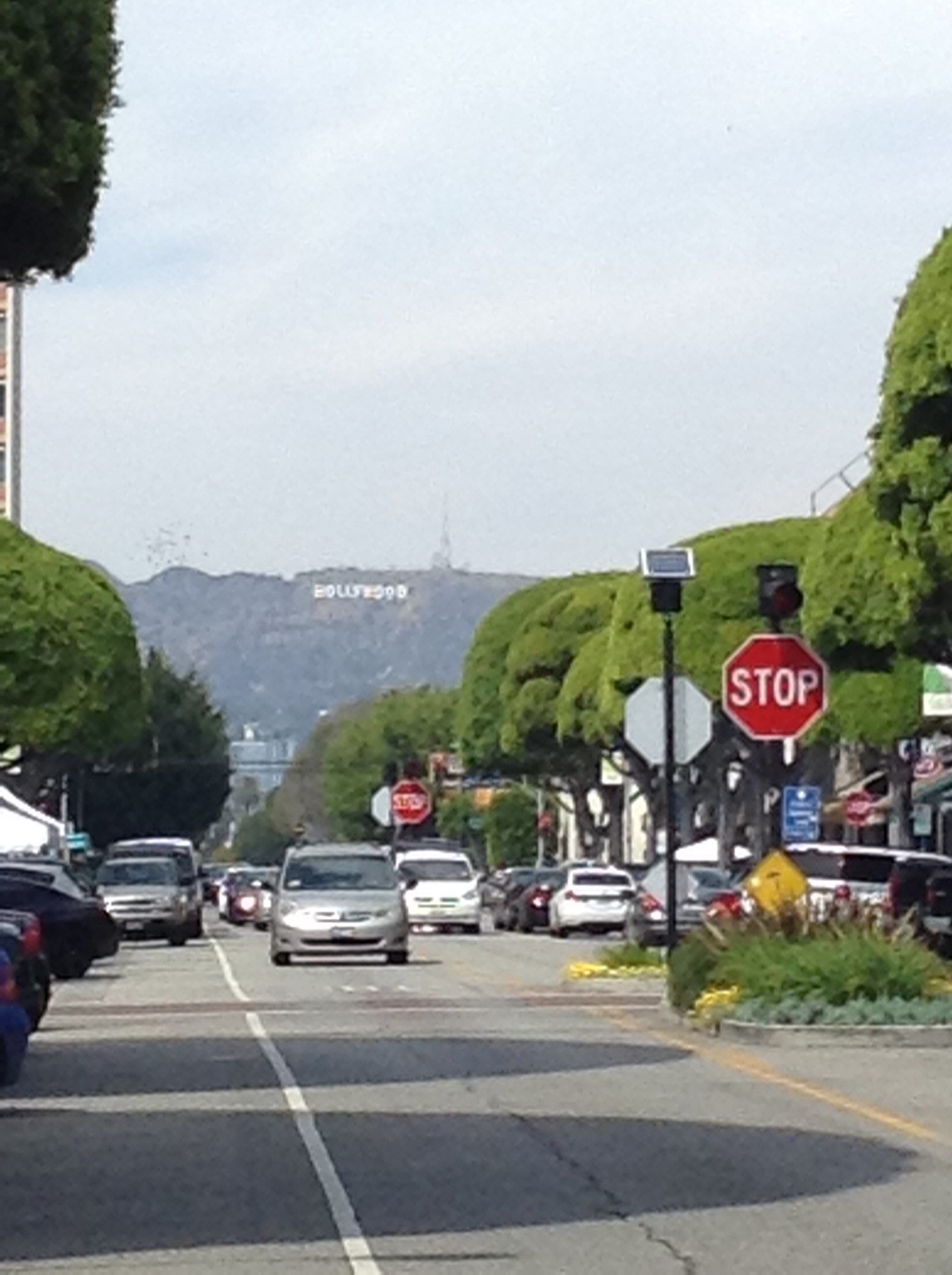 Tree-lined Los Angeles street with the Hollywood sign on the hills in the distance