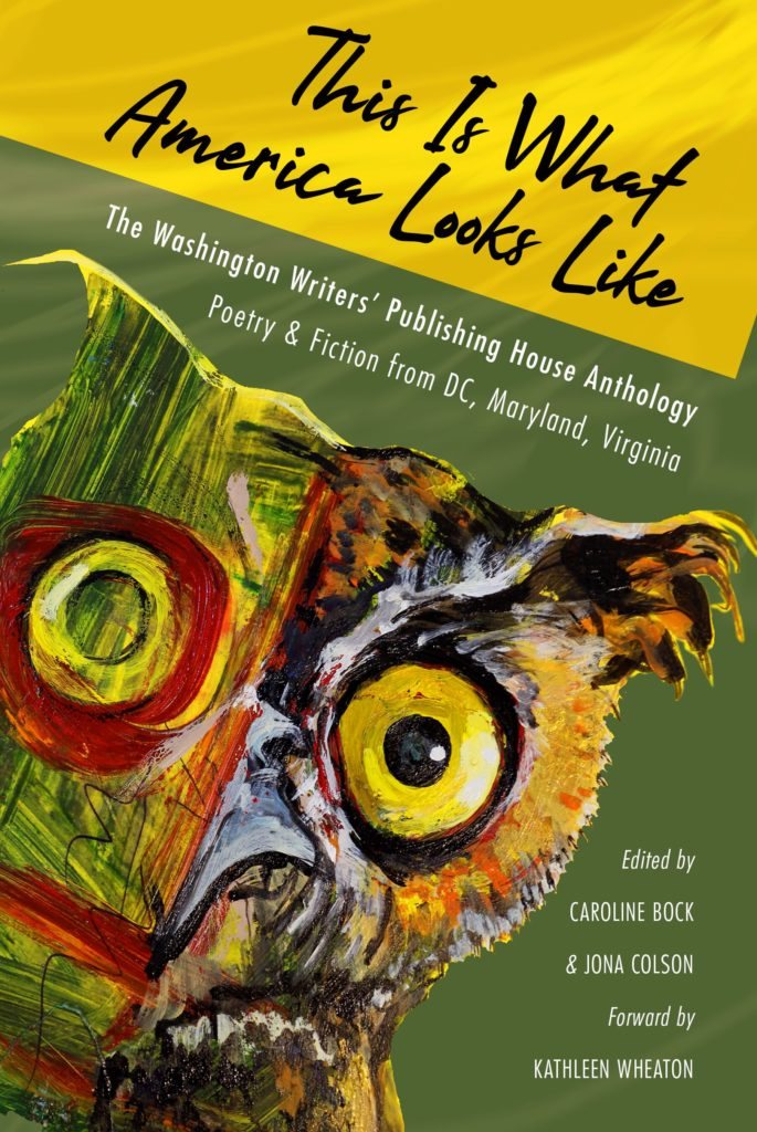 Cover of This Is What America Looks Like, using the painting Owl by Dana Ellyn and Matt Sesow